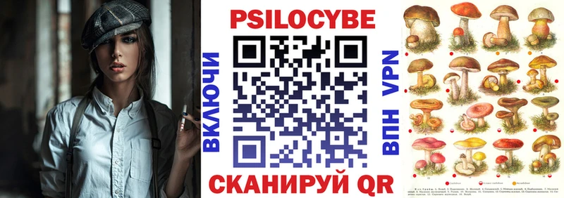 Псилоцибиновые грибы GOLDEN TEACHER цена Кострома